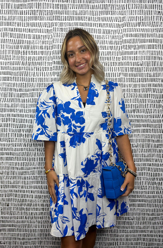 Aby Floral Dixie Dress