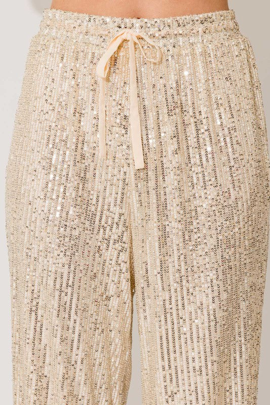 Sequins Straight Leg Pants