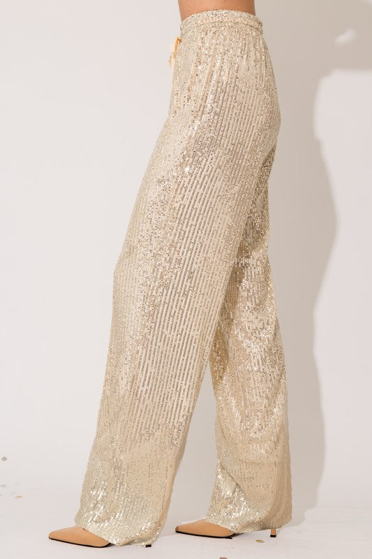 Sequins Straight Leg Pants