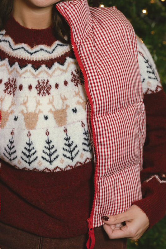 Rudolph Novelty Christmas Holiday Sweater Top