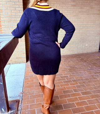 Corunna V-neck Mini Sweater Dress