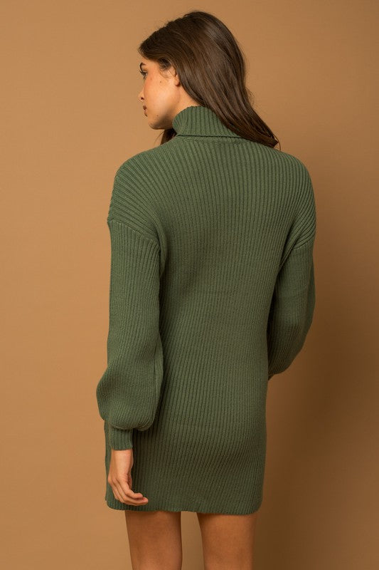 Turtleneck Sweater Dress