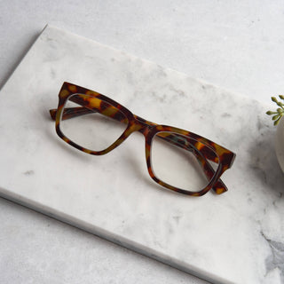 Brady (Blue Light) Peepers