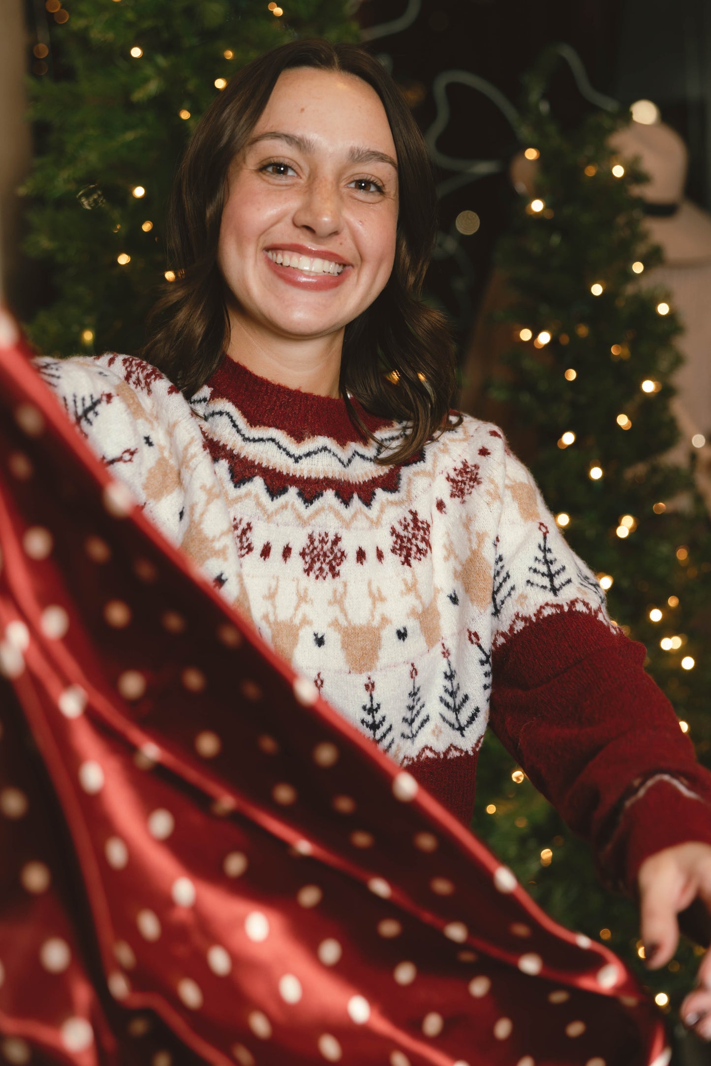 Rudolph Novelty Christmas Holiday Sweater Top