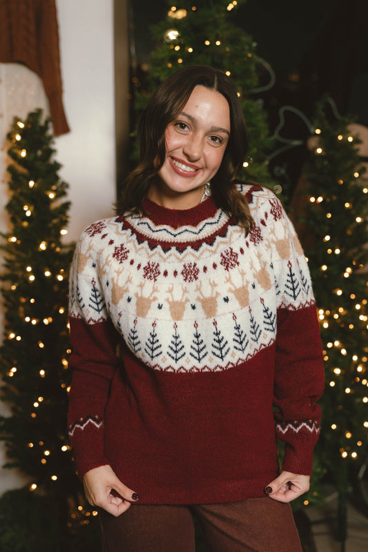 Rudolph Novelty Christmas Holiday Sweater Top