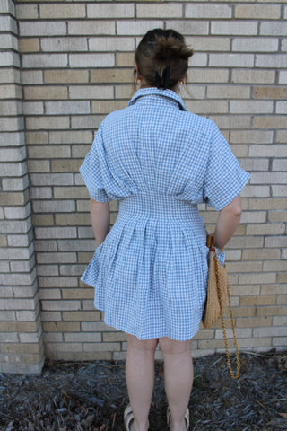 Willa Gingham Cinched Shirt Dress