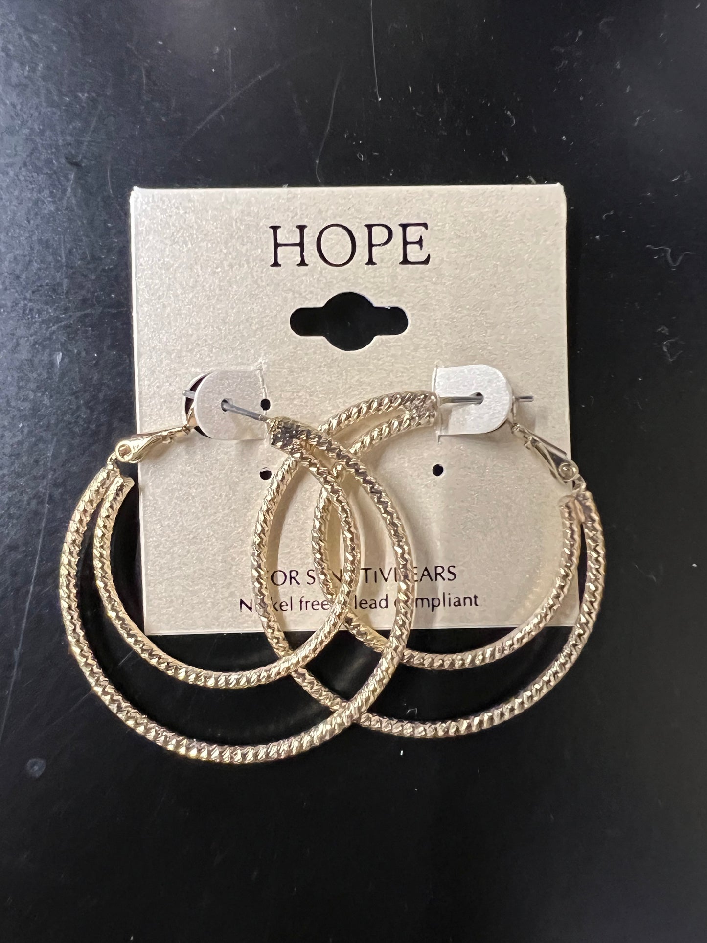 Double Hoop Earrings