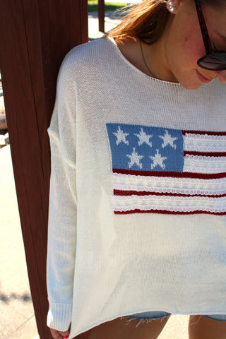 USA Flag Crew Neck Sweater