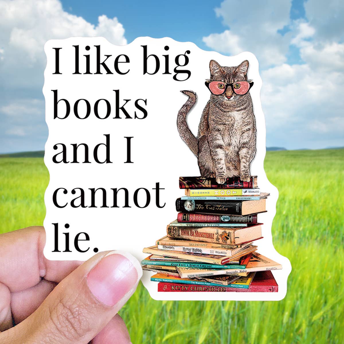 Sticker - I like big books