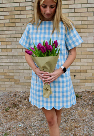 blue and white plaid mini dress Button Up Pleated Long Sleeve Collar, Rianne Plaid Mini Shirt Dress in Blue, Size S,